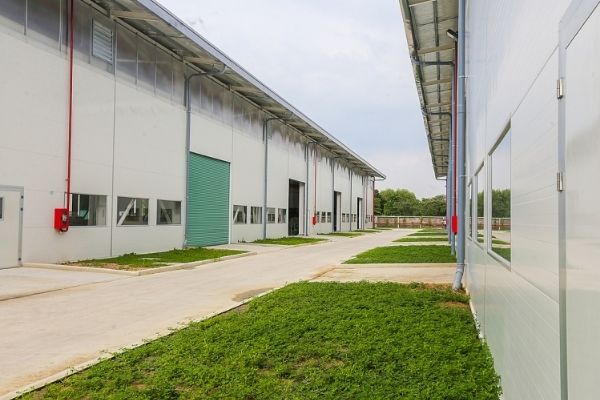 Tối ưu chi phí xây dựng nhà xưởng bằng vật liệu nhẹ